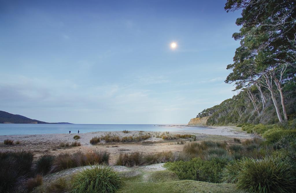 Depot Beach Cabins Villa Durras Buitenkant foto